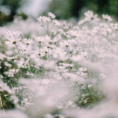 365体育手机版入口截图